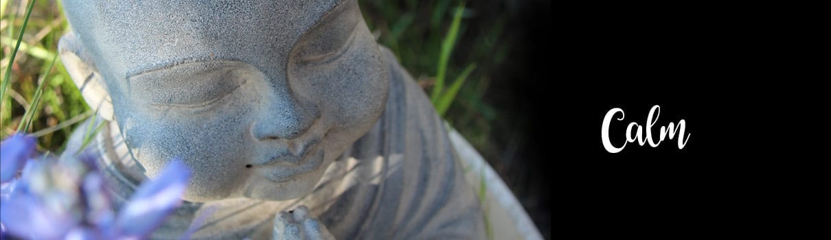 Blog - Calm Feature