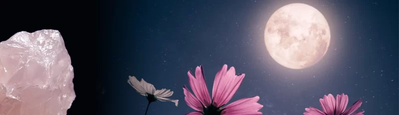 April's Pink Moon