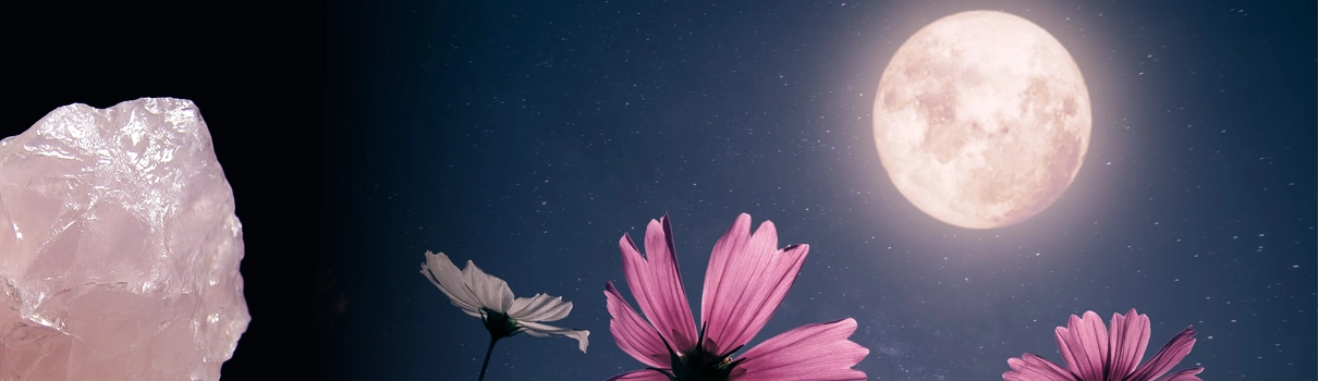 April's Pink Moon
