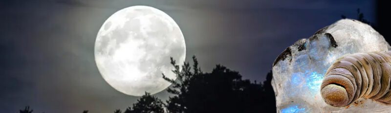 March's Full Worm Moon