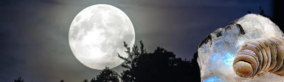 March's Full Worm Moon
