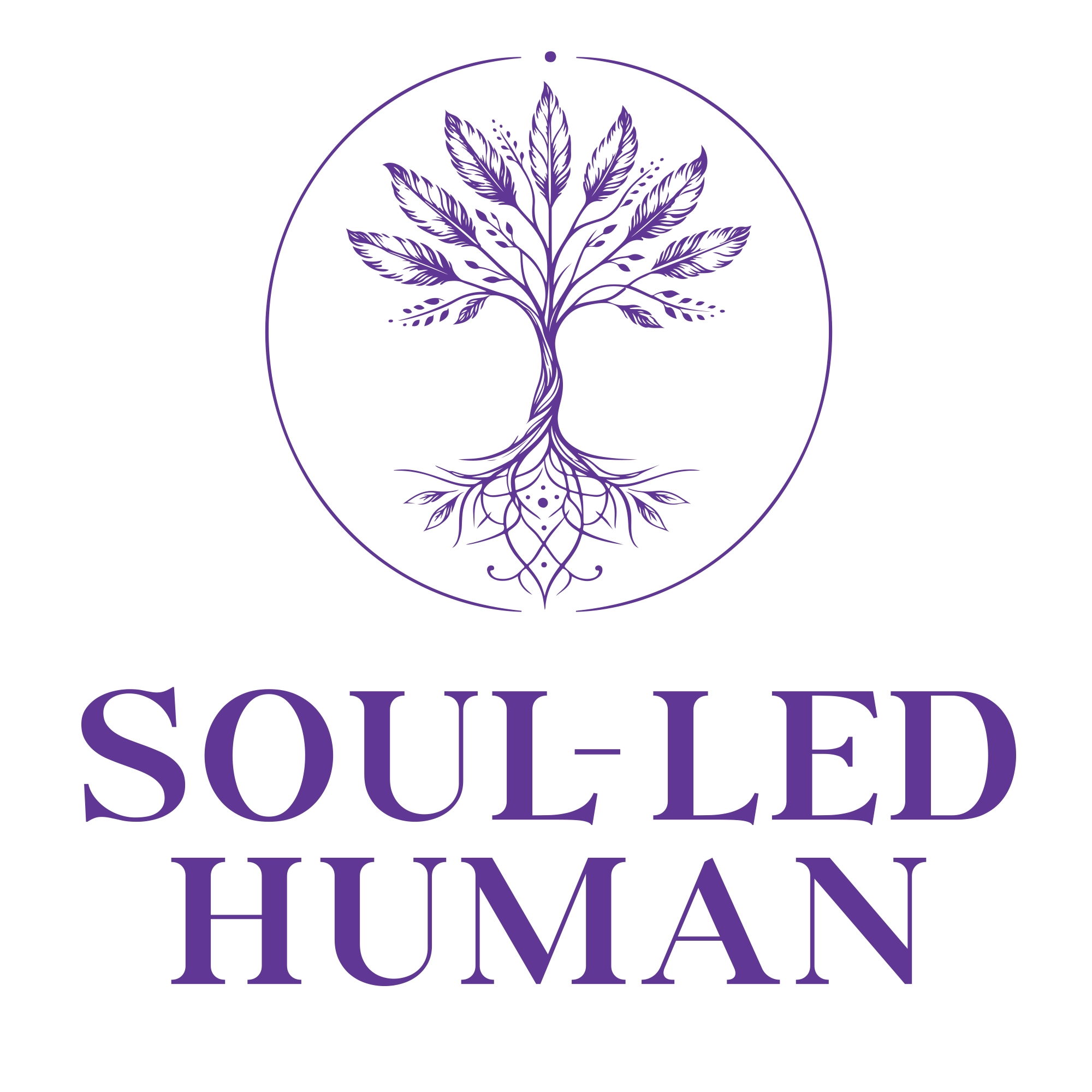 Soul Led Human